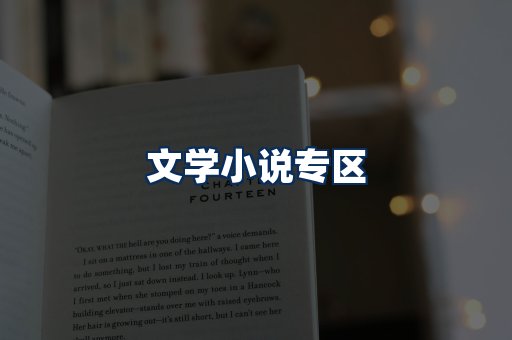 文学小说PDF展示